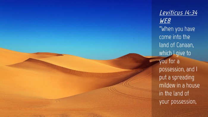 Picture 04 - Leviticus 14:34 WEB Desktop Wallpaper - 