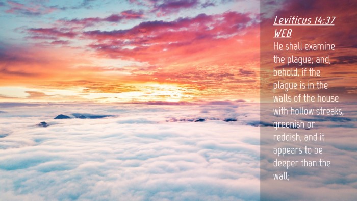 Picture 04 - Leviticus 14:37 WEB Desktop Wallpaper - He shall examine the plague; and, behold, if the - Desktop Bible Verse Wallpaper