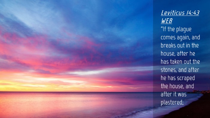 Picture 04 - Leviticus 14:43 WEB Desktop Wallpaper - 