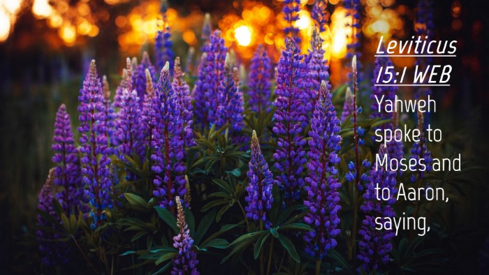Picture 04 - Leviticus 15:1 WEB Desktop Wallpaper - Yahweh spoke to Moses and to Aaron, - Desktop Bible Verse Wallpaper