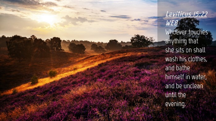 Picture 04 - Leviticus 15:22 WEB Desktop Wallpaper - Whoever touches anything that she sits on shall - Desktop Bible Verse Wallpaper
