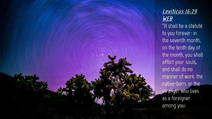 Picture 04 - Leviticus 16:29 WEB Desktop Wallpaper - 