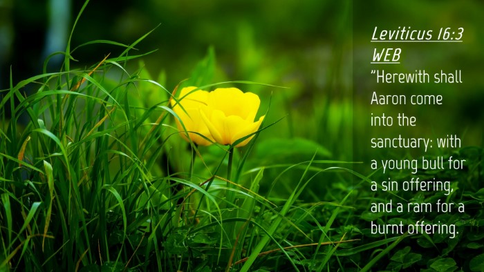 Picture 04 - Leviticus 16:3 WEB Desktop Wallpaper - 