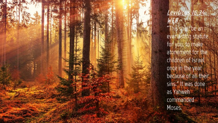 Picture 04 - Leviticus 16:34 WEB Desktop Wallpaper - 