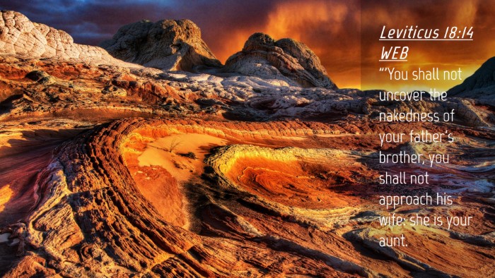 Picture 04 - Leviticus 18:14 WEB Desktop Wallpaper - 