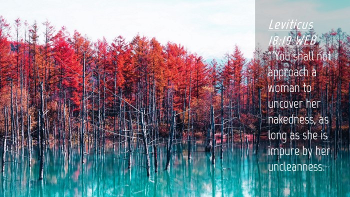 Picture 04 - Leviticus 18:19 WEB Desktop Wallpaper - 