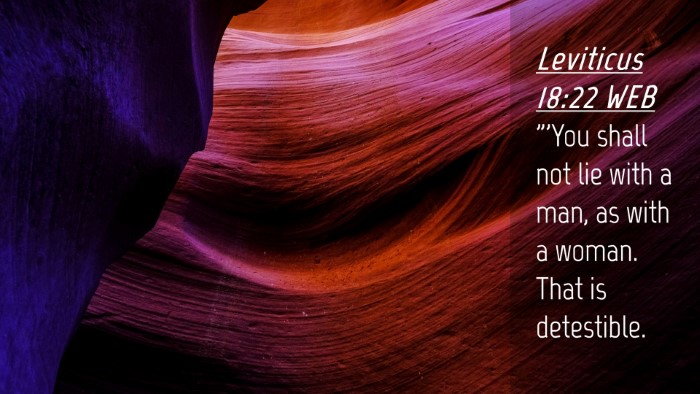 Picture 04 - Leviticus 18:22 WEB Desktop Wallpaper - 