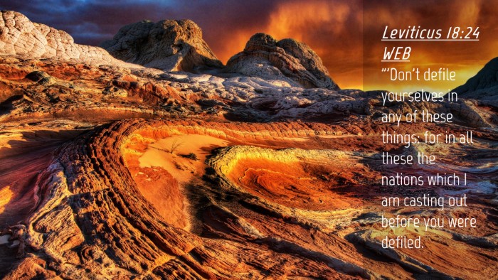 Picture 04 - Leviticus 18:24 WEB Desktop Wallpaper - 