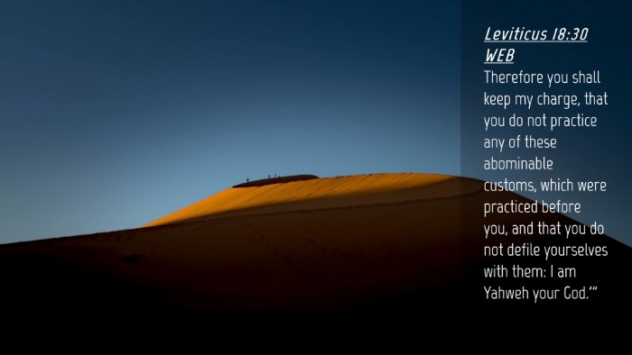 Picture 04 - Leviticus 18:30 WEB Desktop Wallpaper - Therefore you shall keep my charge, that you do - Desktop Bible Verse Wallpaper