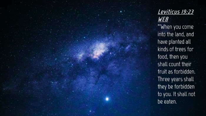 Picture 04 - Leviticus 19:23 WEB Desktop Wallpaper - 