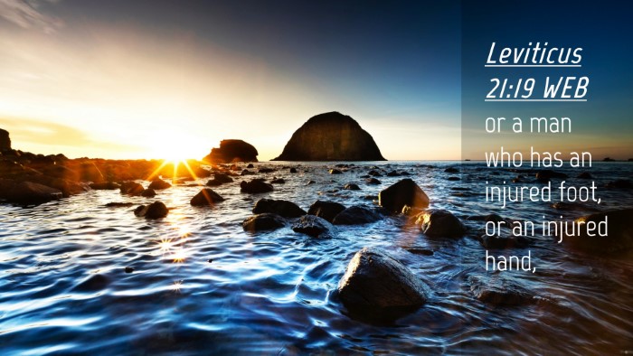 Picture 04 - Leviticus 21:19 WEB Desktop Wallpaper - or a man who has an injured foot, or an injured - Desktop Bible Verse Wallpaper