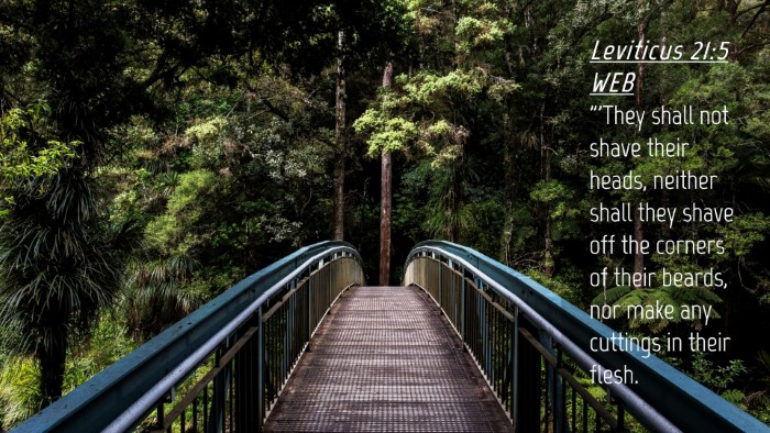 Picture 04 - Leviticus 21:5 WEB Desktop Wallpaper - 