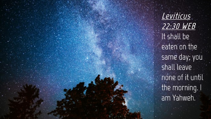 Picture 04 - Leviticus 22:30 WEB Desktop Wallpaper - It shall be eaten on the same day; you shall - Desktop Bible Verse Wallpaper