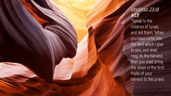 Picture 04 - Leviticus 23:10 WEB Desktop Wallpaper - 