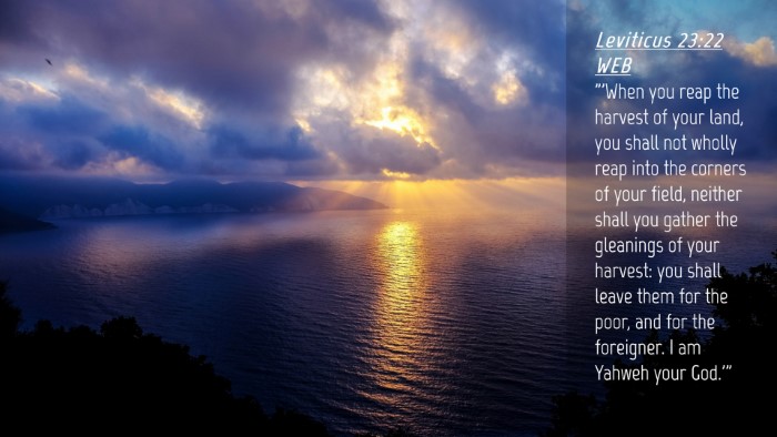 Picture 04 - Leviticus 23:22 WEB Desktop Wallpaper - 