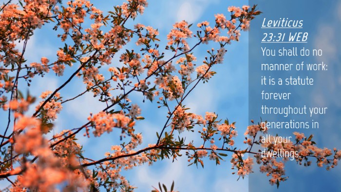 Picture 04 - Leviticus 23:31 WEB Desktop Wallpaper - You shall do no manner of work: it is a statute - Desktop Bible Verse Wallpaper