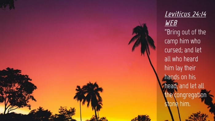 Picture 04 - Leviticus 24:14 WEB Desktop Wallpaper - 