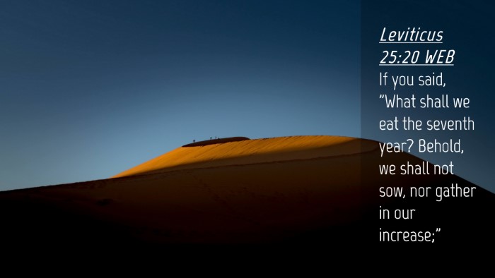 Picture 04 - Leviticus 25:20 WEB Desktop Wallpaper - If you said, 