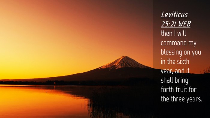 Picture 04 - Leviticus 25:21 WEB Desktop Wallpaper - then I will command my blessing on you in the - Desktop Bible Verse Wallpaper