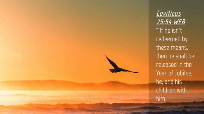 Picture 04 - Leviticus 25:54 WEB Desktop Wallpaper - 
