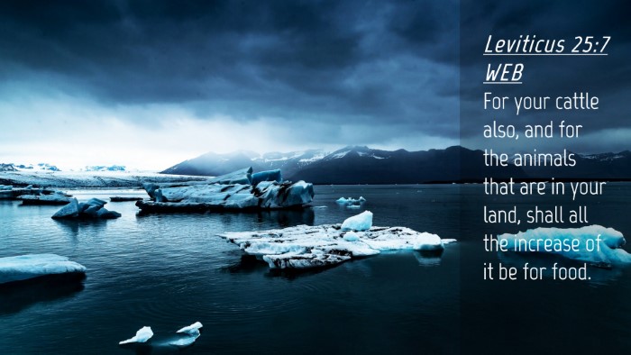 Picture 04 - Leviticus 25:7 WEB Desktop Wallpaper - For your cattle also, and for the animals that - Desktop Bible Verse Wallpaper