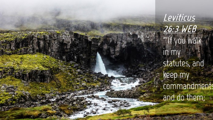 Picture 04 - Leviticus 26:3 WEB Desktop Wallpaper - 