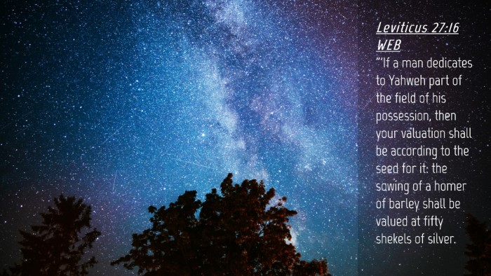 Picture 04 - Leviticus 27:16 WEB Desktop Wallpaper - 