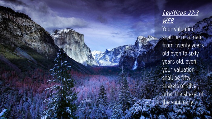 Picture 04 - Leviticus 27:3 WEB Desktop Wallpaper - Your valuation shall be of a male from twenty - Desktop Bible Verse Wallpaper
