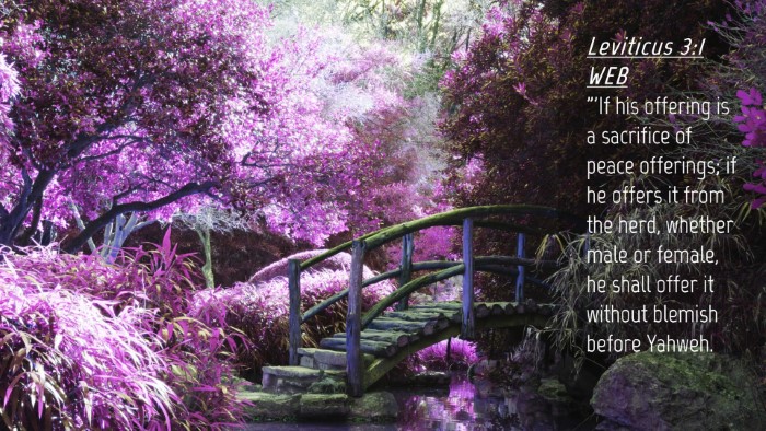 Picture 04 - Leviticus 3:1 WEB Desktop Wallpaper - 