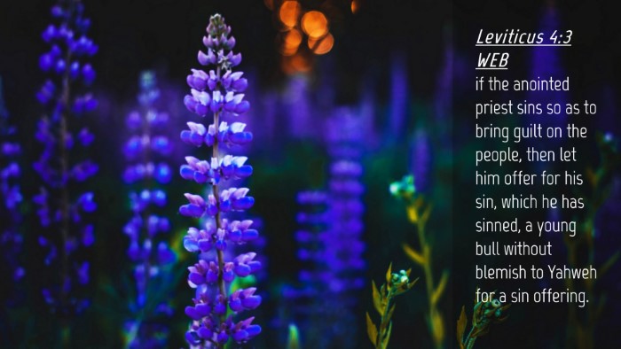 Picture 04 - Leviticus 4:3 WEB Desktop Wallpaper - if the anointed priest sins so as to bring guilt - Desktop Bible Verse Wallpaper