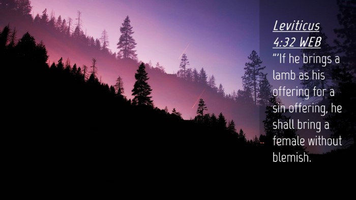 Picture 04 - Leviticus 4:32 WEB Desktop Wallpaper - 
