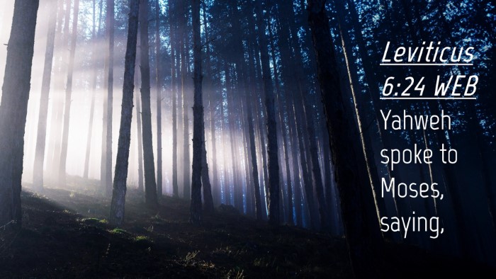 Picture 04 - Leviticus 6:24 WEB Desktop Wallpaper - Yahweh spoke to Moses, - Desktop Bible Verse Wallpaper