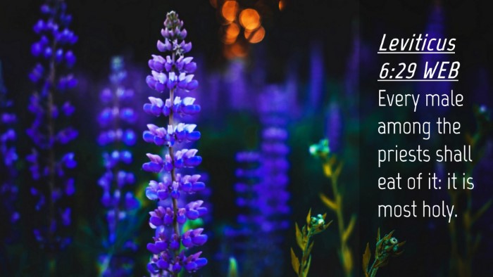 Picture 04 - Leviticus 6:29 WEB Desktop Wallpaper - Every male among the priests shall eat of it: it - Desktop Bible Verse Wallpaper