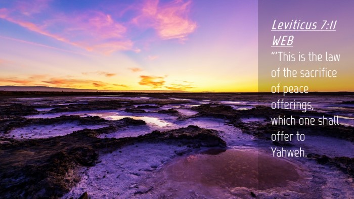 Picture 04 - Leviticus 7:11 WEB Desktop Wallpaper - 