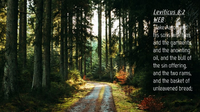 Picture 04 - Leviticus 8:2 WEB Desktop Wallpaper - 