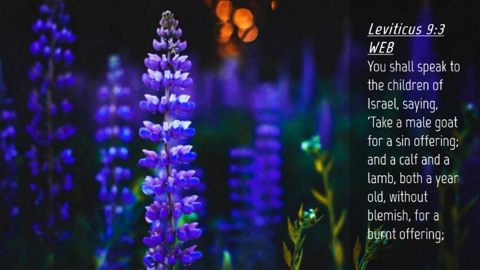 Picture 04 - Leviticus 9:3 WEB Desktop Wallpaper - You shall speak to the children of Israel, - Desktop Bible Verse Wallpaper