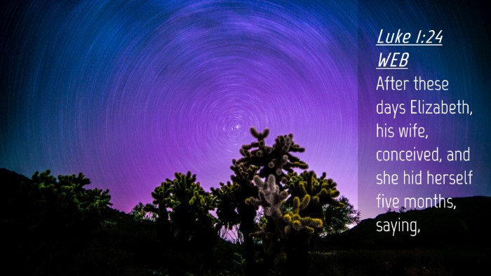 Picture 04 - Luke 1:24 WEB Desktop Wallpaper - After these days Elizabeth, his wife, conceived, - Desktop Bible Verse Wallpaper