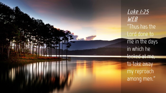 Picture 04 - Luke 1:25 WEB Desktop Wallpaper - 
