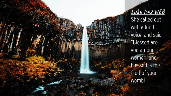 Picture 04 - Luke 1:42 WEB Desktop Wallpaper - She called out with a loud voice, and said, - Desktop Bible Verse Wallpaper