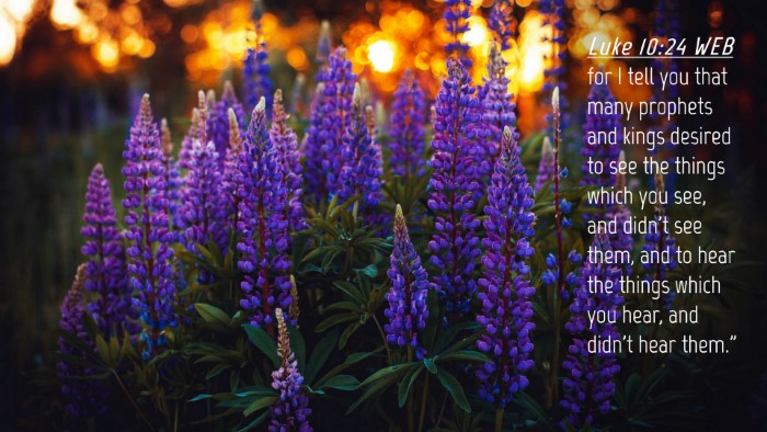 Picture 04 - Luke 10:24 WEB Desktop Wallpaper - for I tell you that many prophets and kings - Desktop Bible Verse Wallpaper