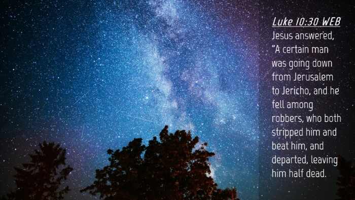 Picture 04 - Luke 10:30 WEB Desktop Wallpaper - Jesus answered, 