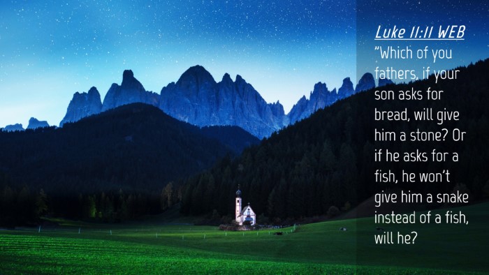 Picture 04 - Luke 11:11 WEB Desktop Wallpaper - 