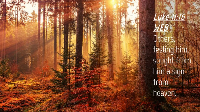 Picture 04 - Luke 11:16 WEB Desktop Wallpaper - Others, testing him, sought from him a sign from - Desktop Bible Verse Wallpaper