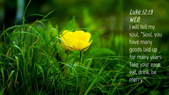 Picture 04 - Luke 12:19 WEB Desktop Wallpaper - I will tell my soul, 