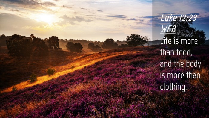 Picture 04 - Luke 12:23 WEB Desktop Wallpaper - Life is more than food, and the body is more than - Desktop Bible Verse Wallpaper