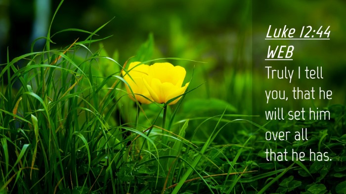 Picture 04 - Luke 12:44 WEB Desktop Wallpaper - Truly I tell you, that he will set him over all - Desktop Bible Verse Wallpaper