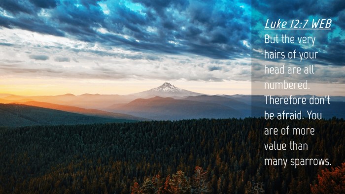 Picture 04 - Luke 12:7 WEB Desktop Wallpaper - But the very hairs of your head are all numbered. - Desktop Bible Verse Wallpaper