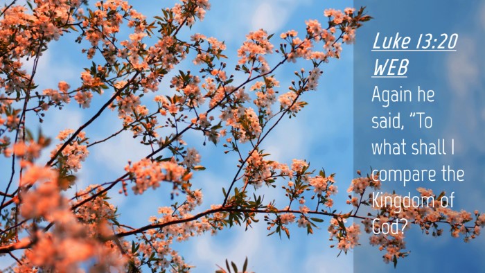 Picture 04 - Luke 13:20 WEB Desktop Wallpaper - Again he said, 