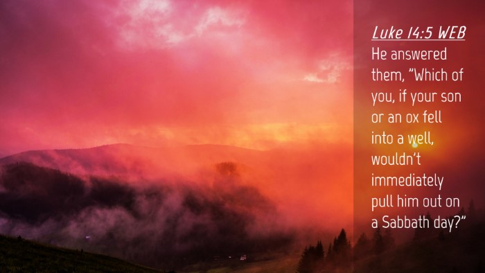 Picture 04 - Luke 14:5 WEB Desktop Wallpaper - He answered them, 