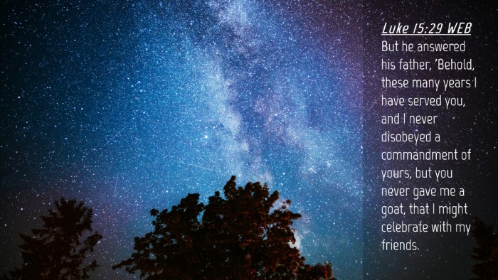 Picture 04 - Luke 15:29 WEB Desktop Wallpaper - But he answered his father, 'Behold, these many - Desktop Bible Verse Wallpaper